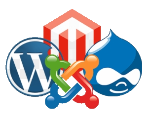 Installa il tuo sito in pochi click
